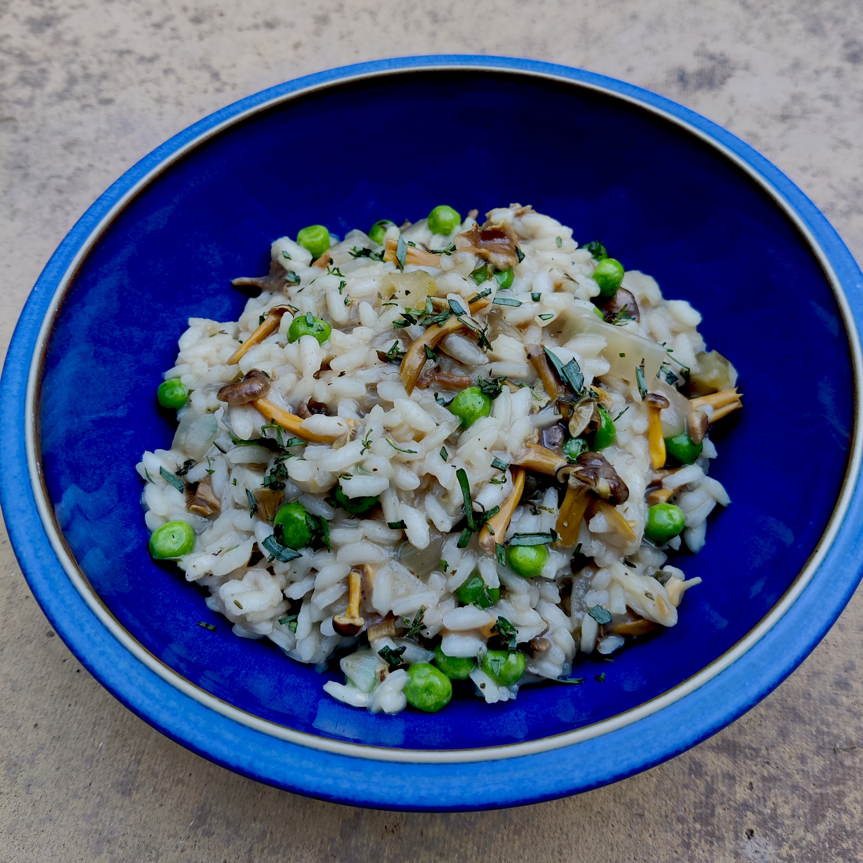 Winter Chanterelle Risotto Recipe
